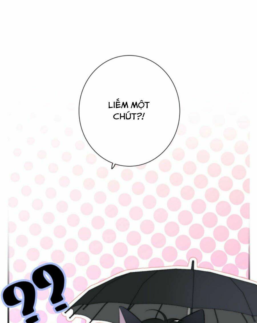 page_17.jpg