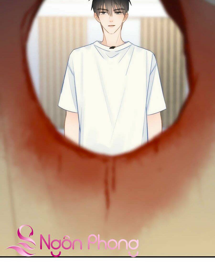 page_19.jpg