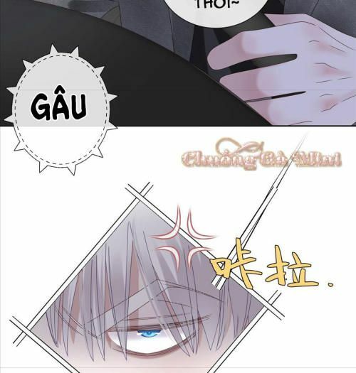 page_19.jpg