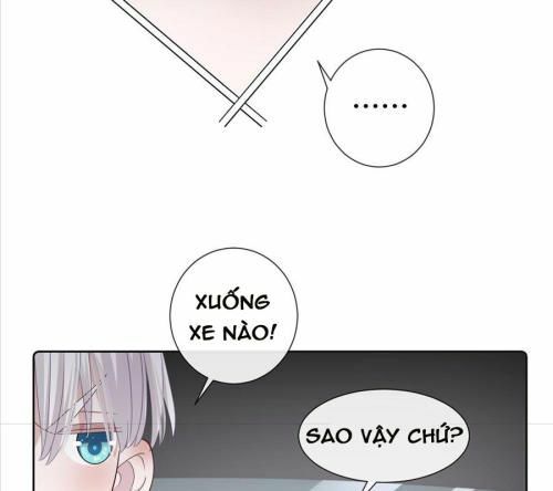page_20.jpg