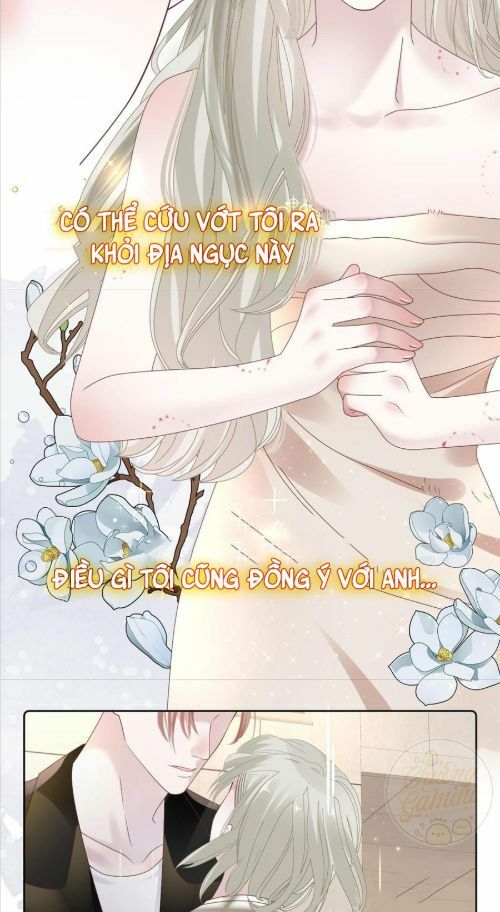 page_28.jpg