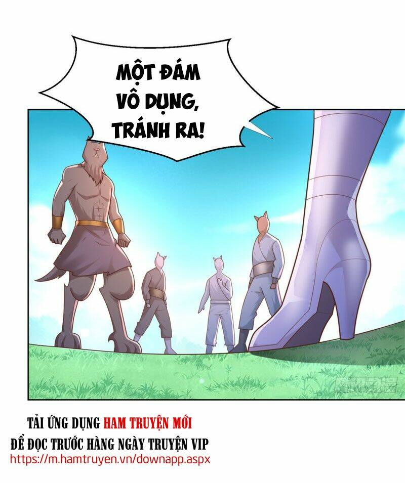 page_23.jpg
