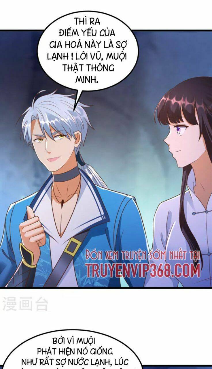 page_28.jpg
