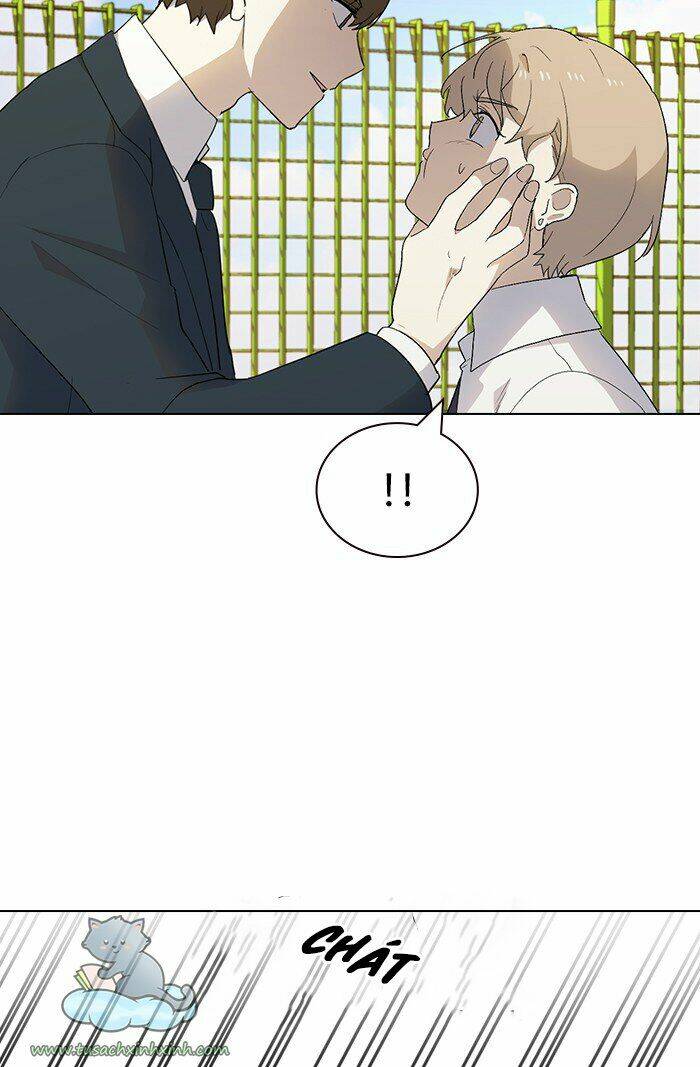 page_19.jpg