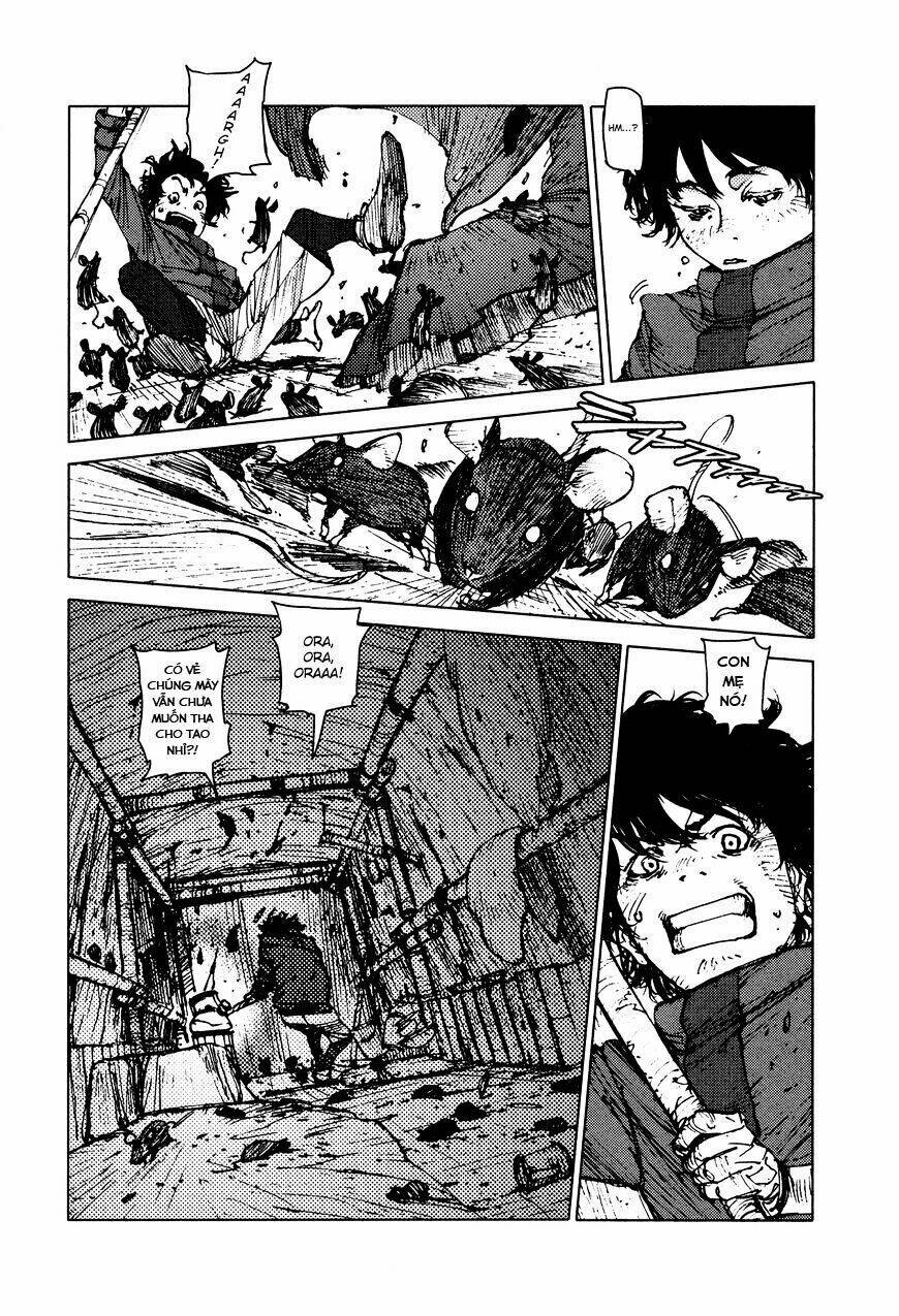 page_5.jpg