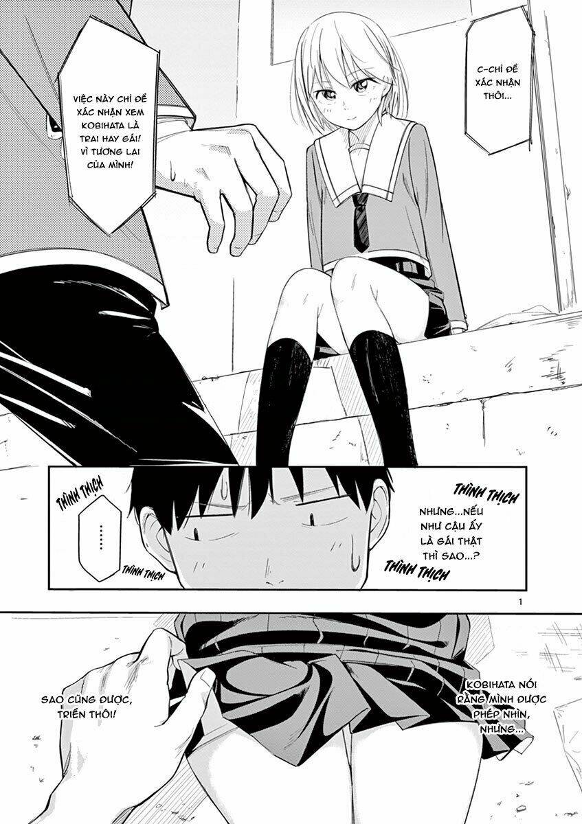 page_3.jpg