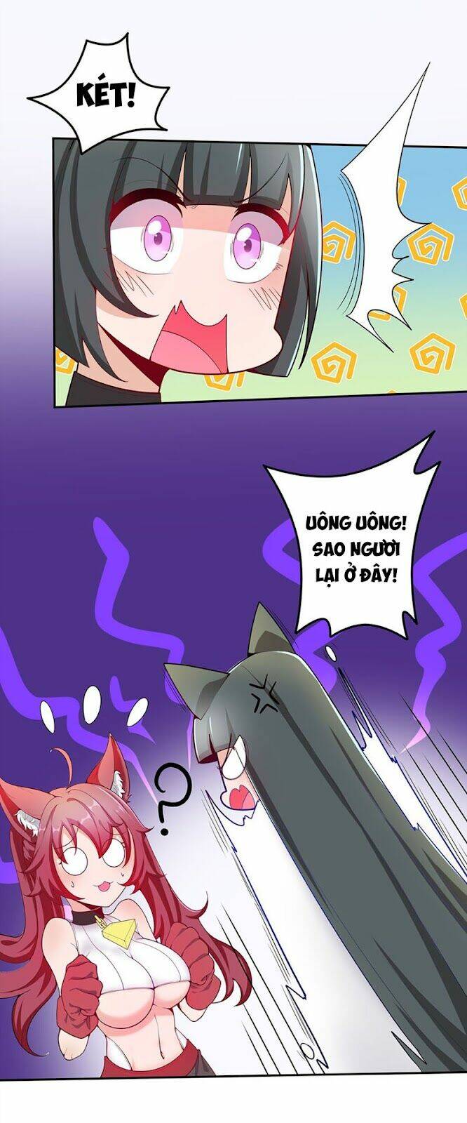 page_20.jpg