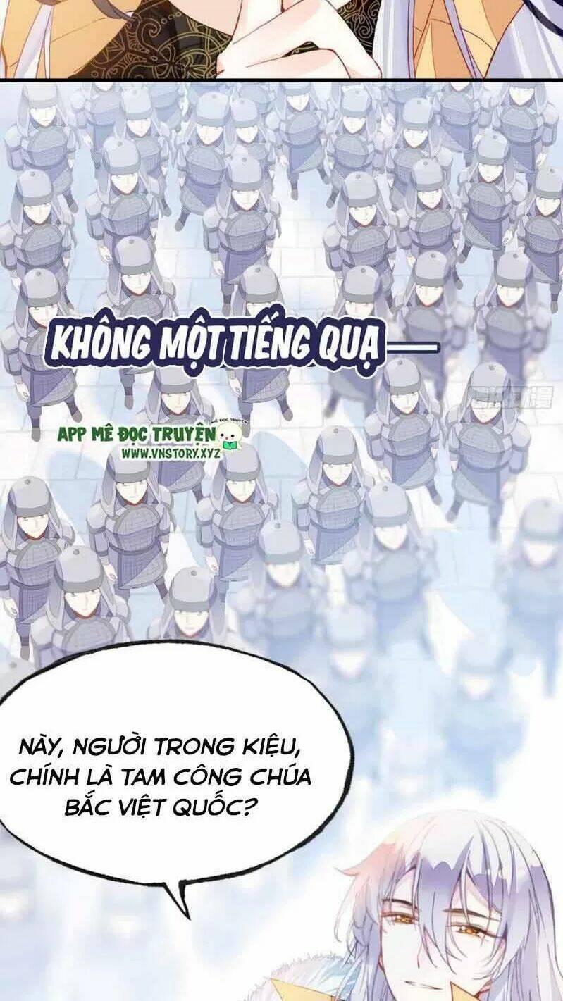 page_40.jpg