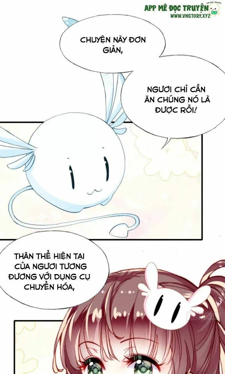 page_5.jpg