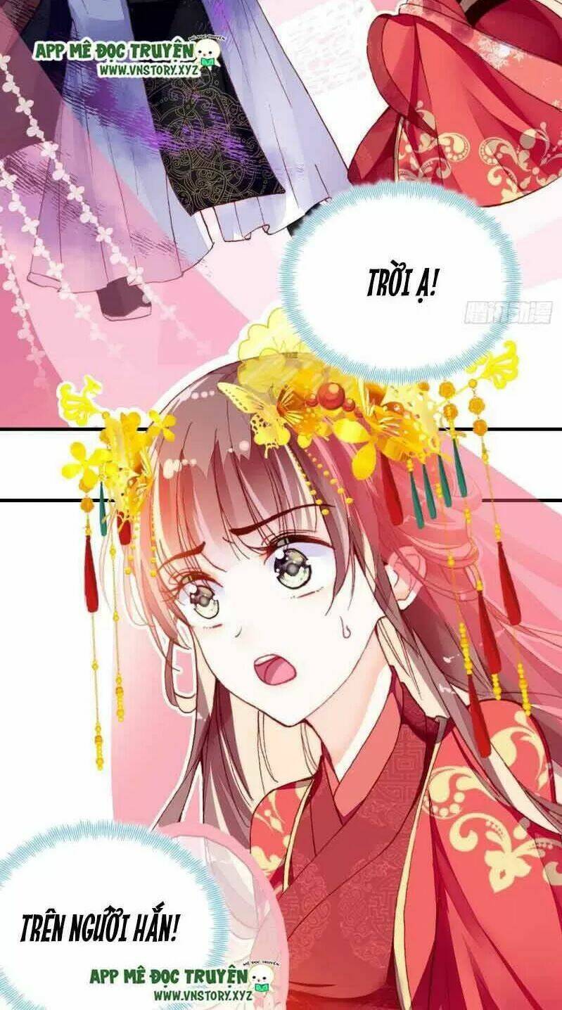 page_24.jpg