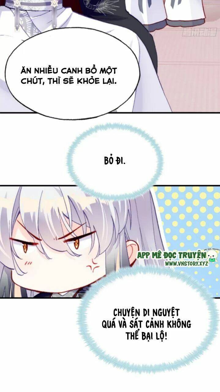 page_29.jpg