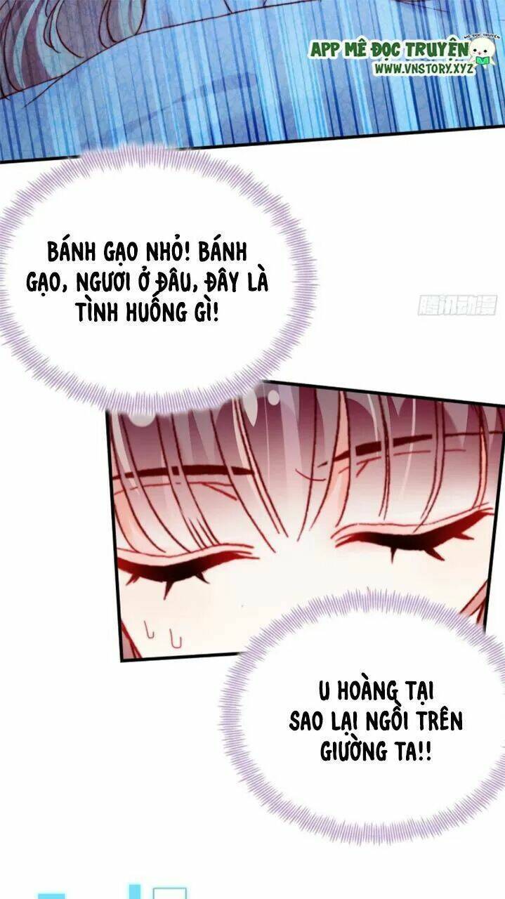 page_23.jpg