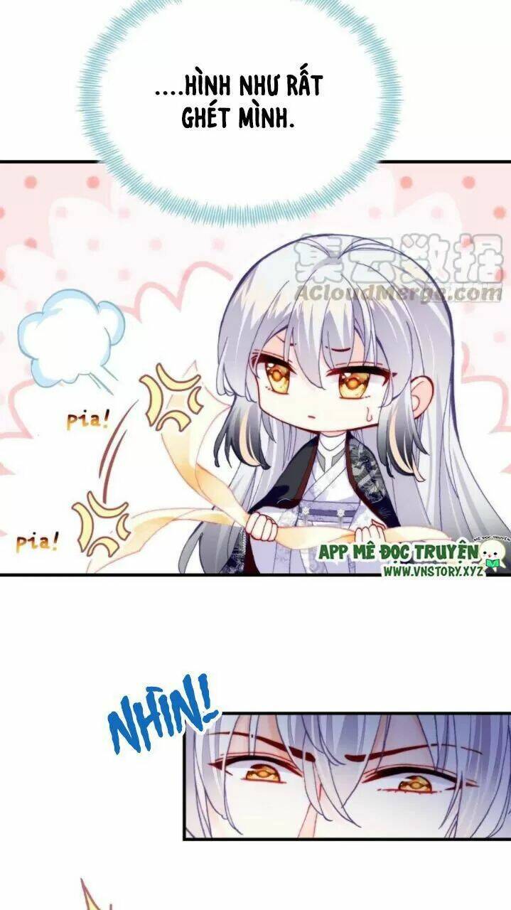 page_8.jpg