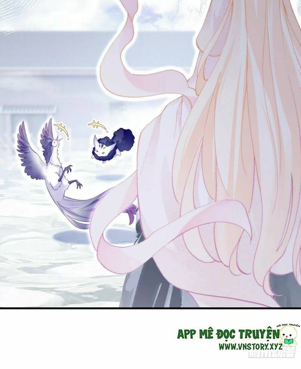 page_31.jpg