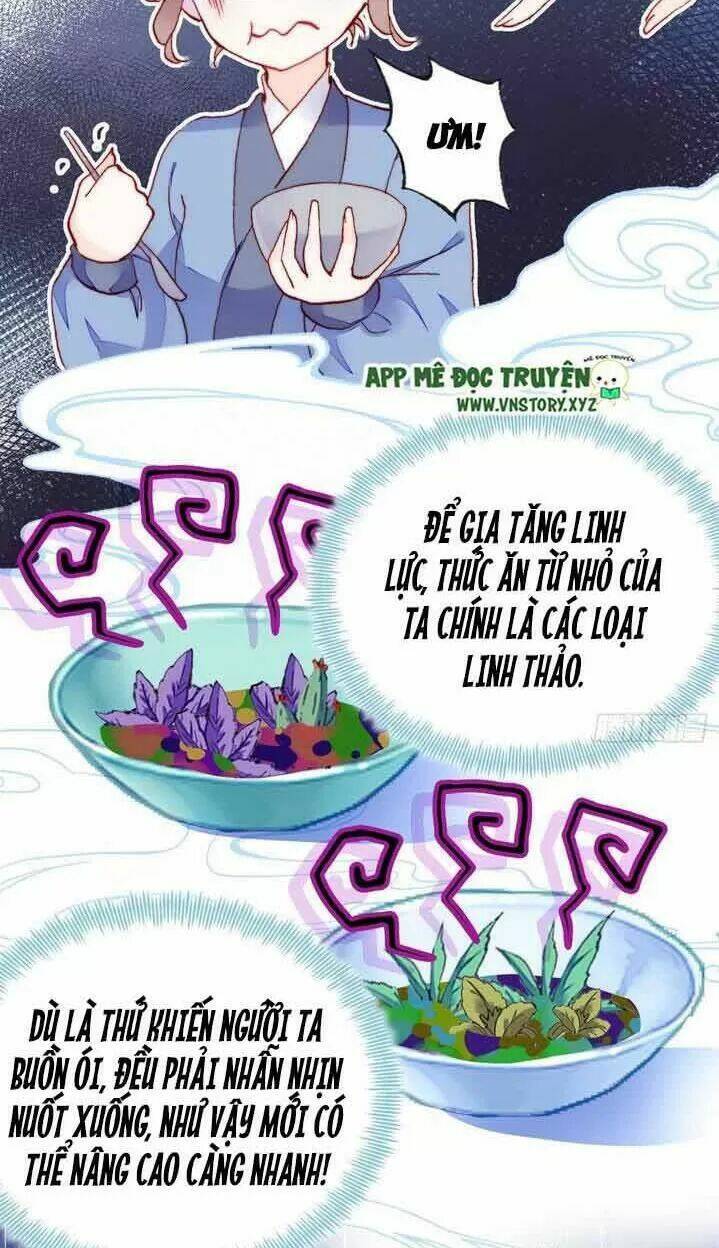 page_5.jpg
