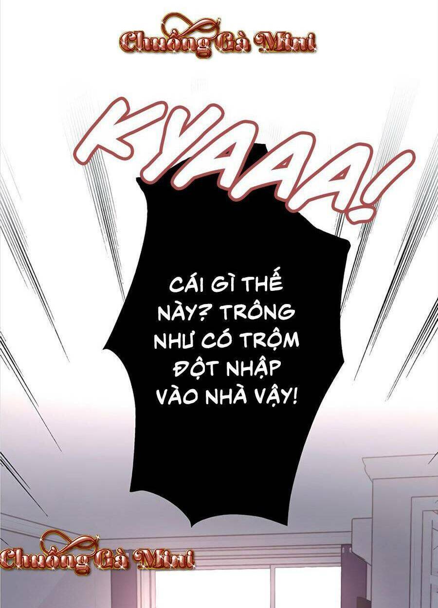 page_19.jpg