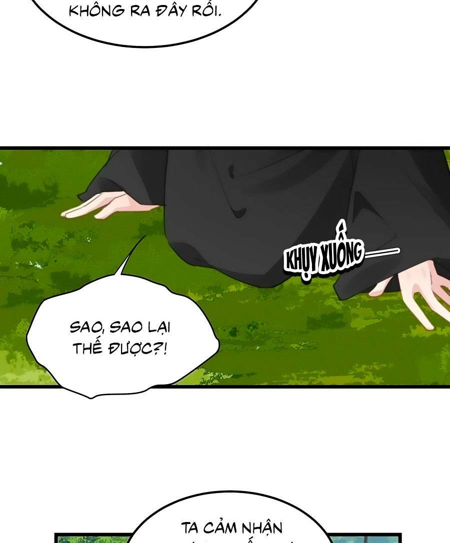 page_12.jpg