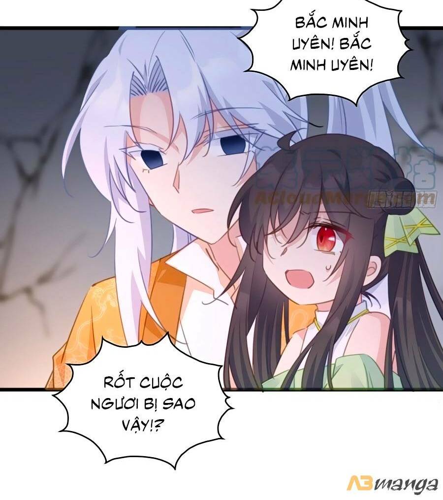 page_23.jpg