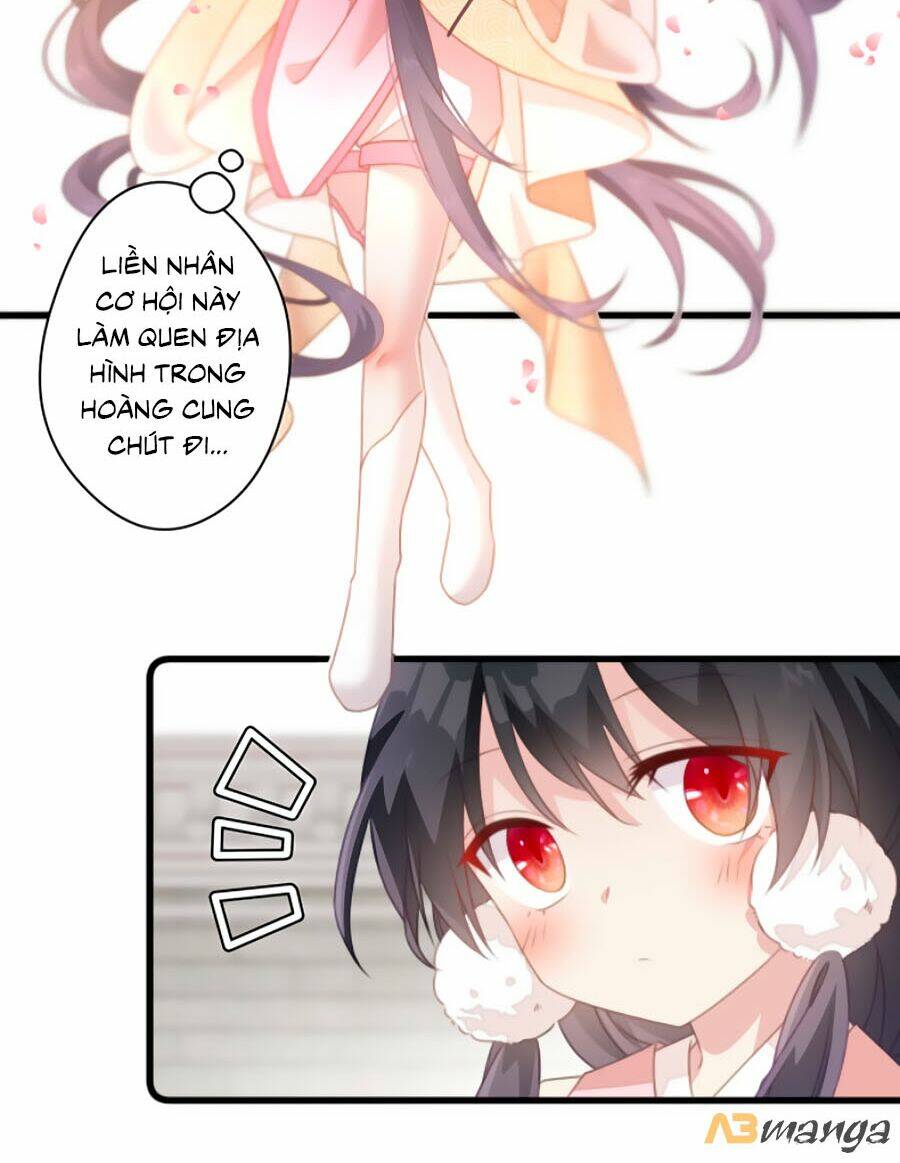page_8.jpg