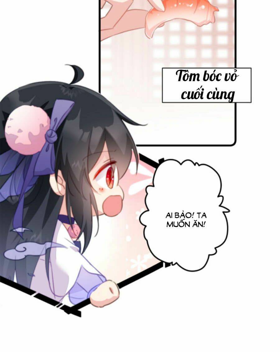 page_16.jpg