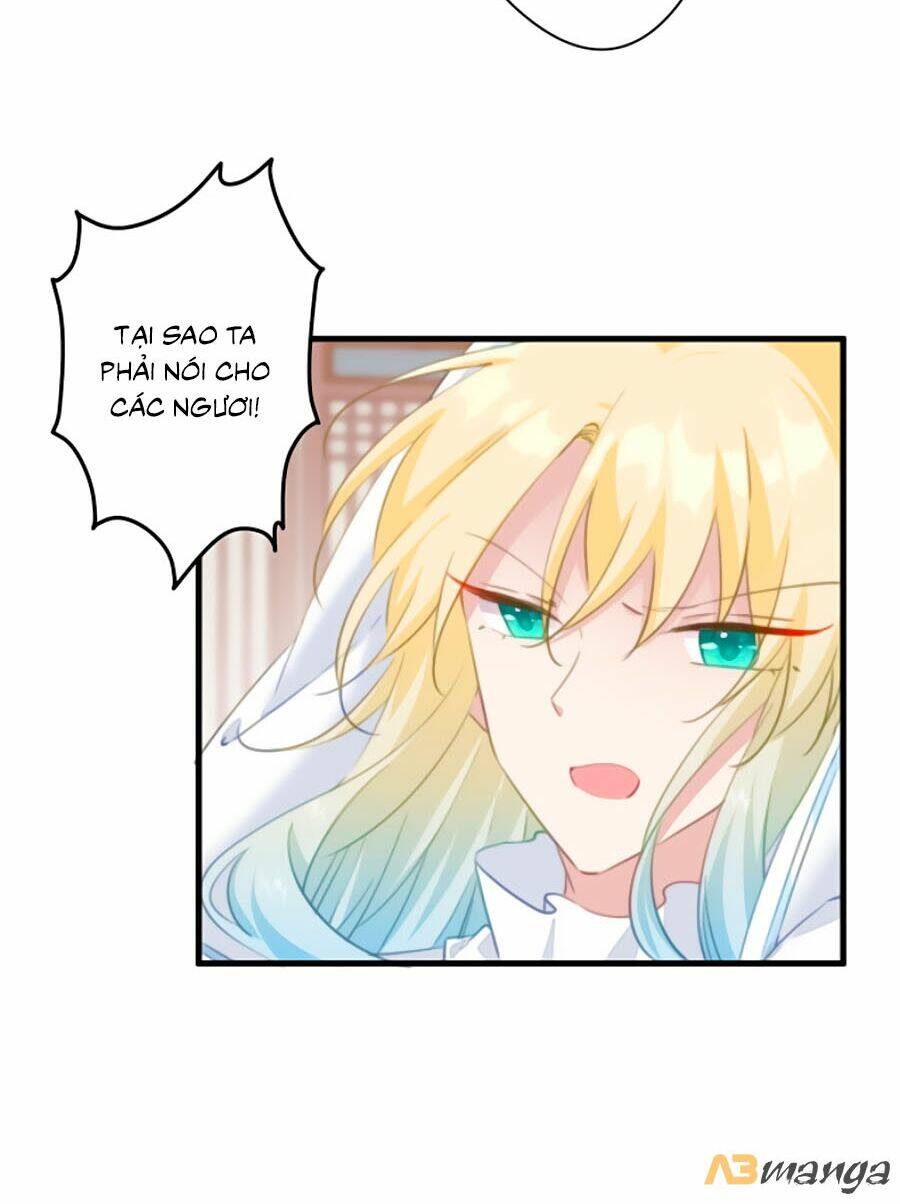 page_12.jpg