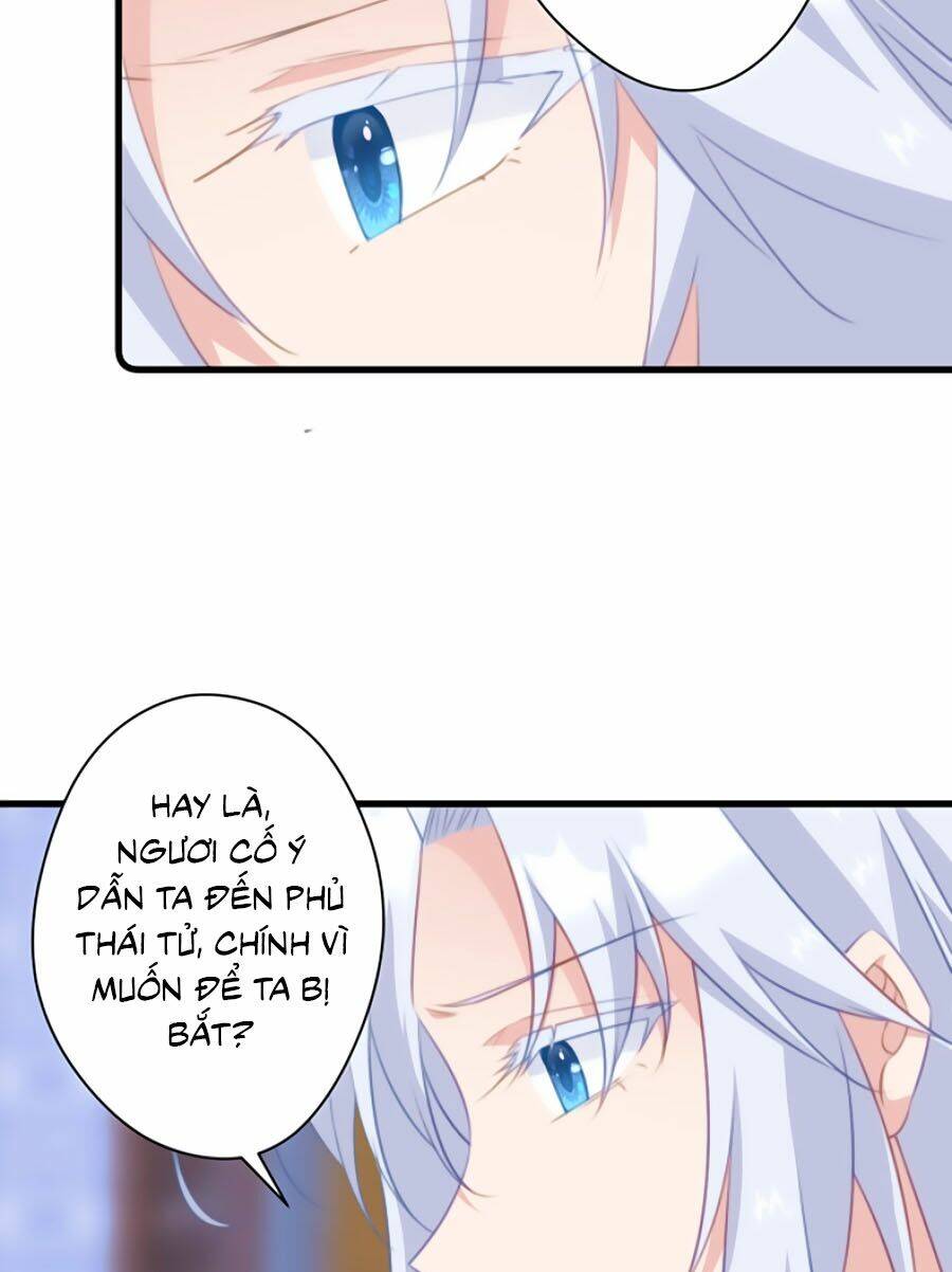 page_11.jpg