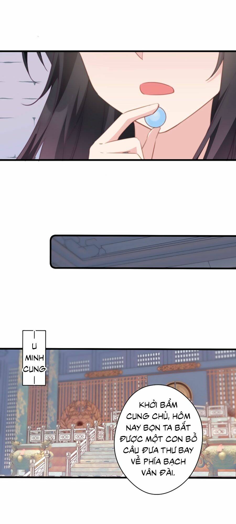 page_21.jpg