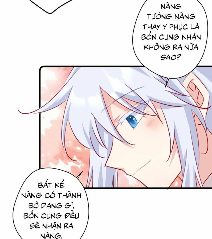 page_21.jpg