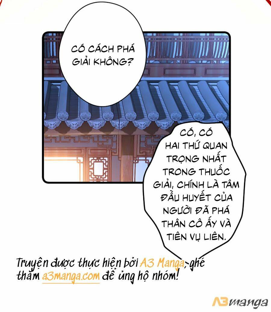 page_24.jpg