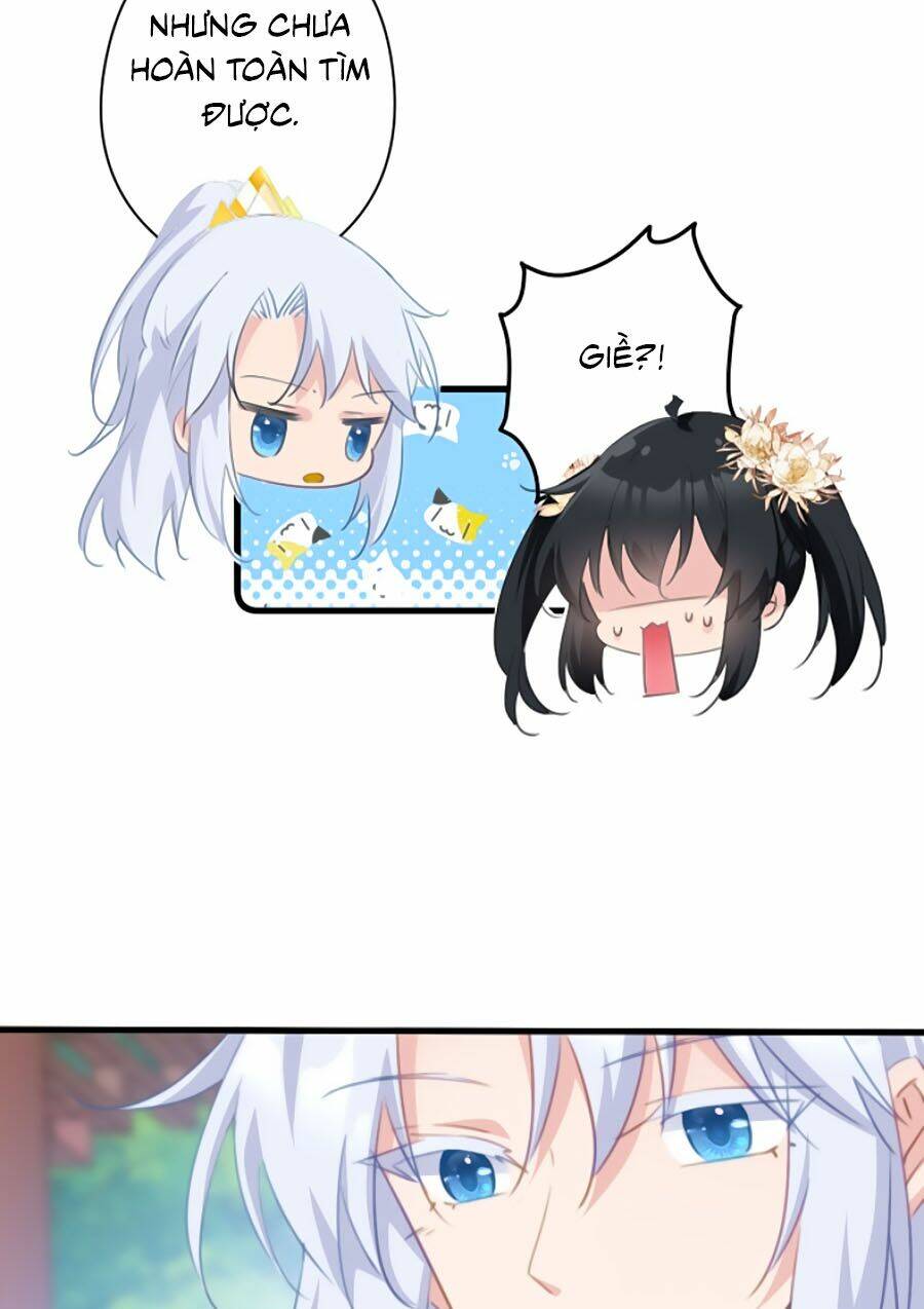 page_5.jpg