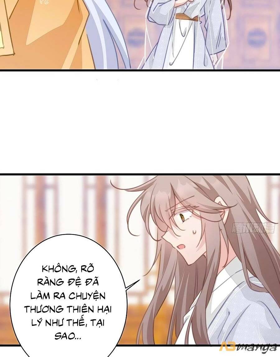 page_19.jpg