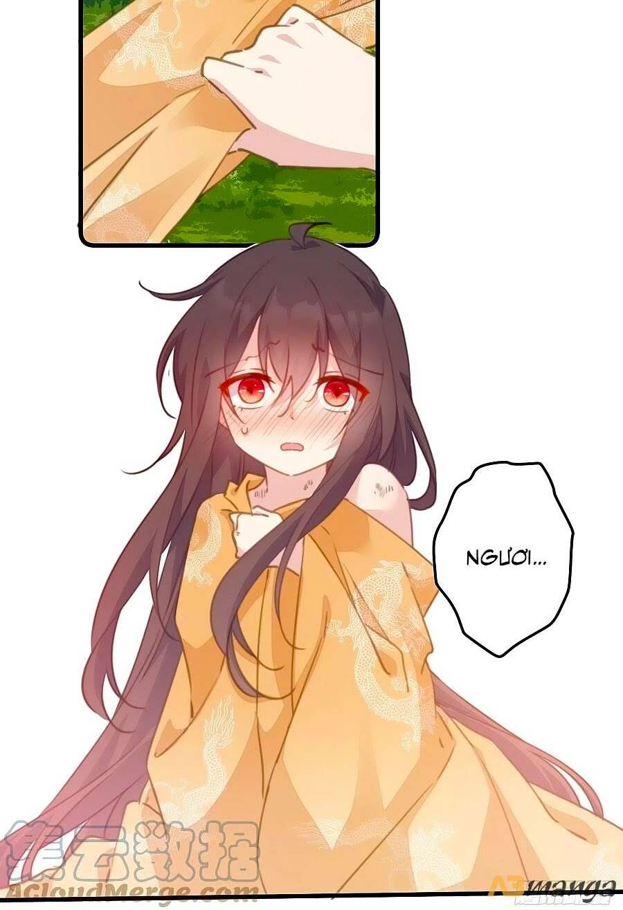 page_5.jpg