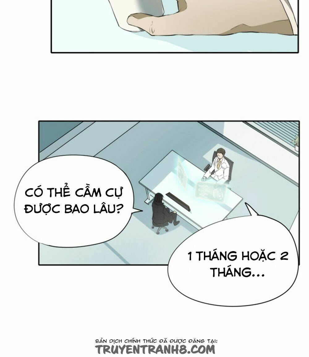 page_19.jpg
