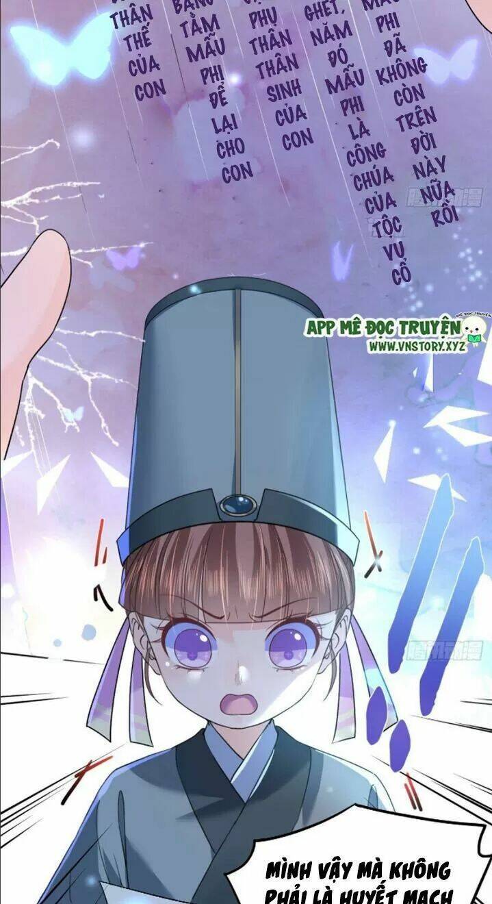 page_24.jpg