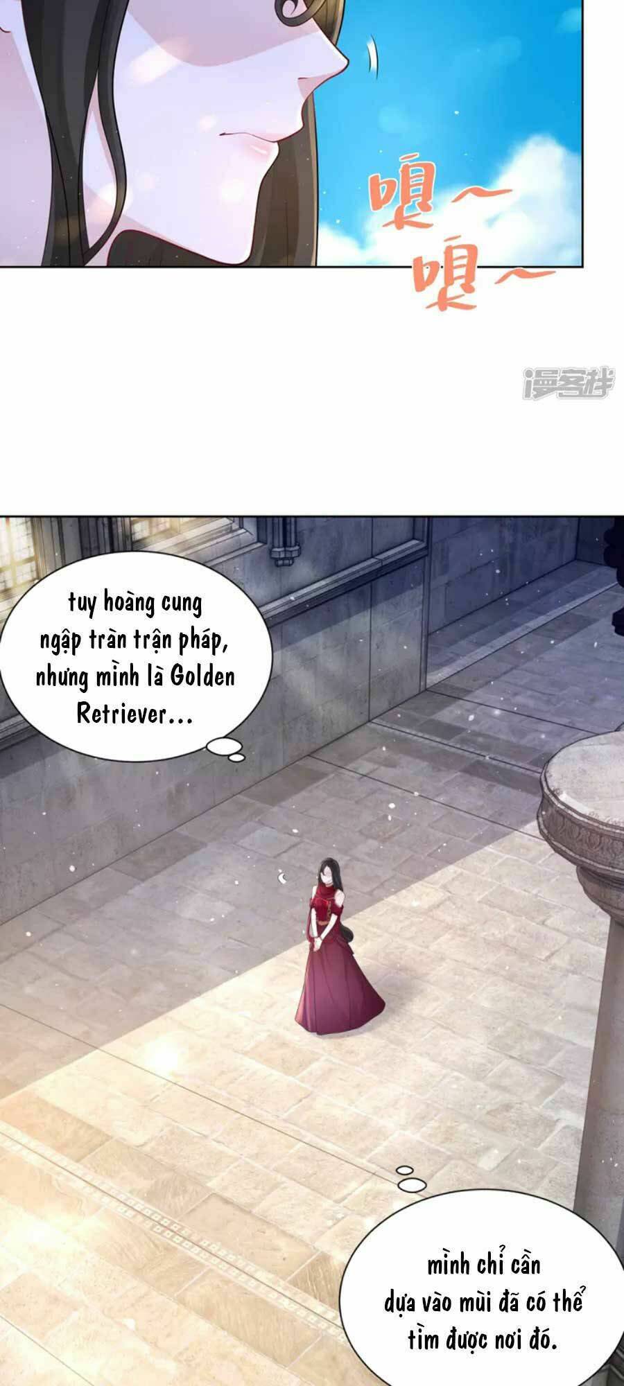 page_15.jpg