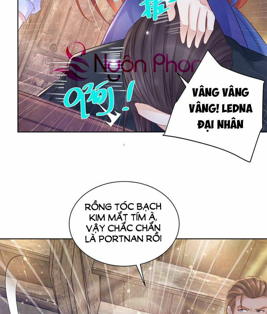 page_31.jpg