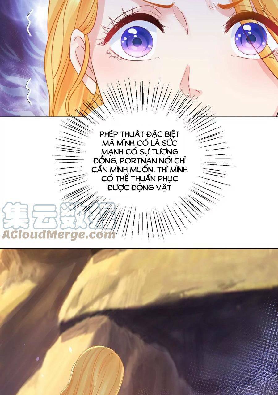 page_7.jpg