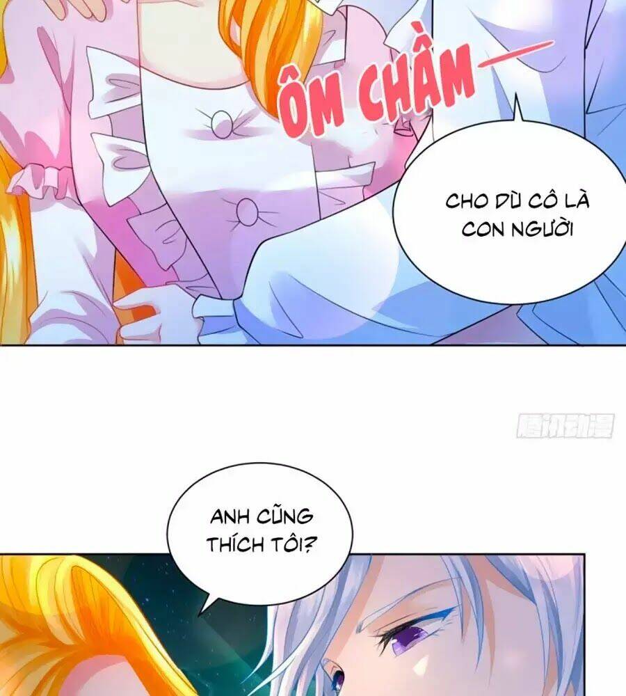 page_24.jpg