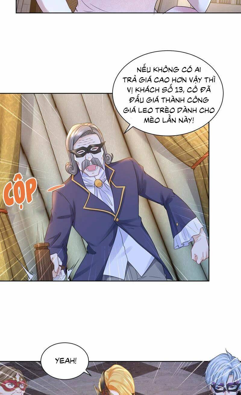 page_19.jpg