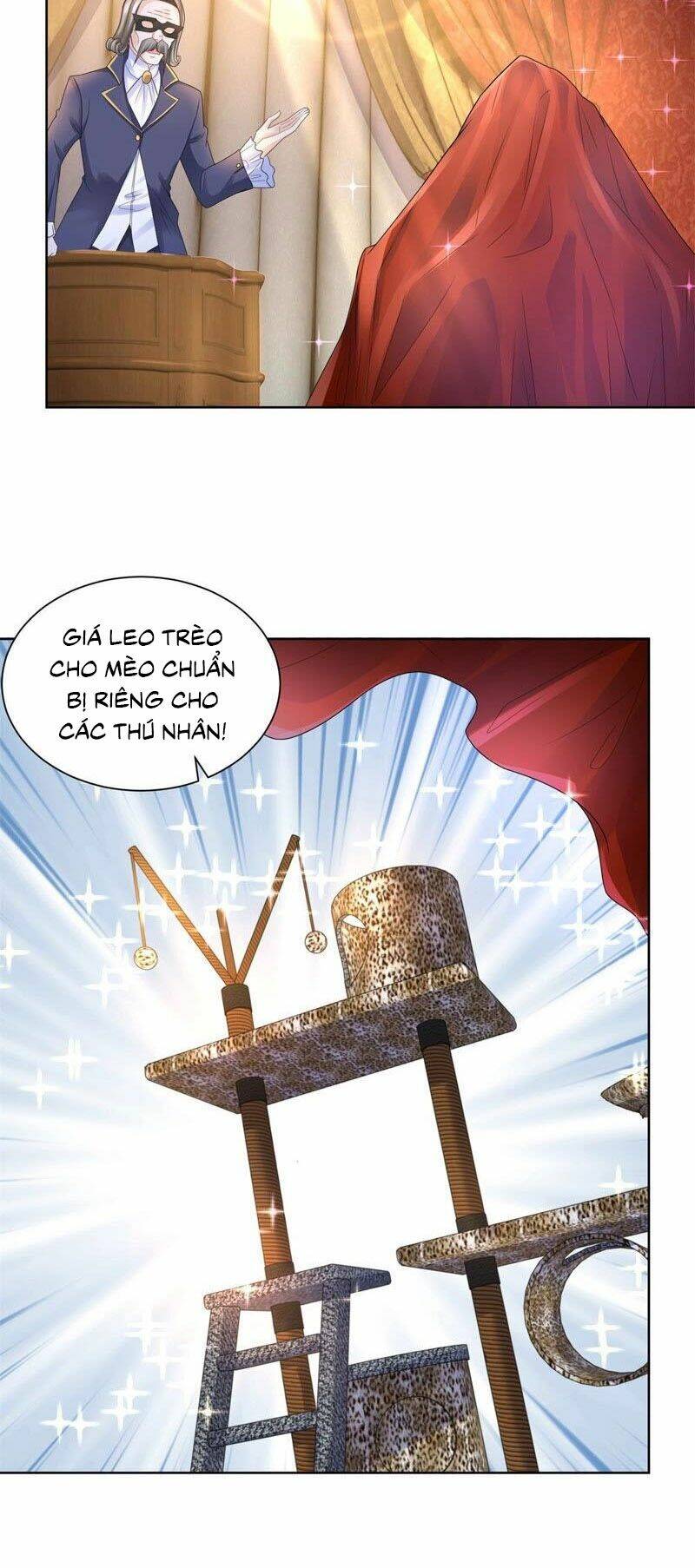 page_8.jpg