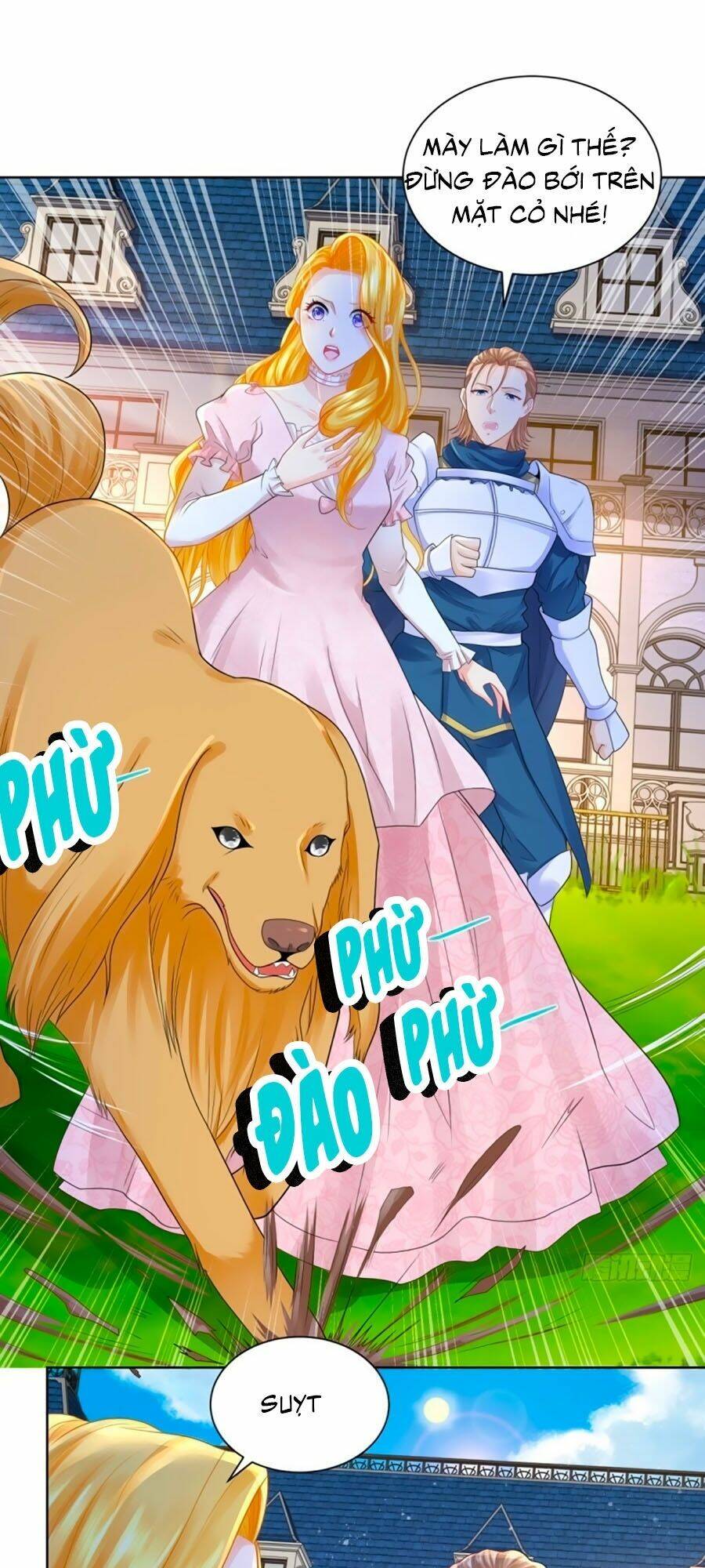 page_29.jpg