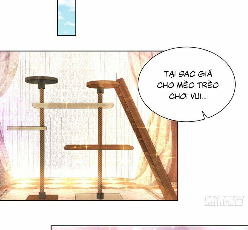 page_16.jpg