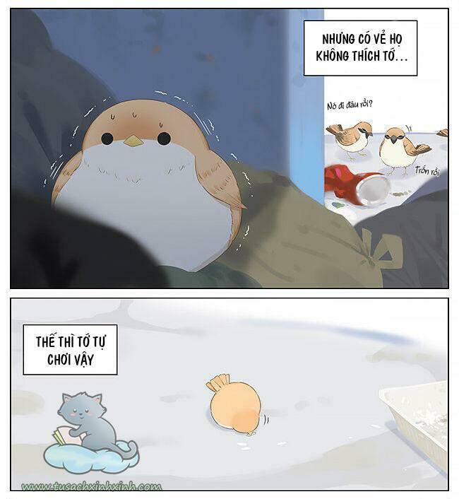 page_6.jpg