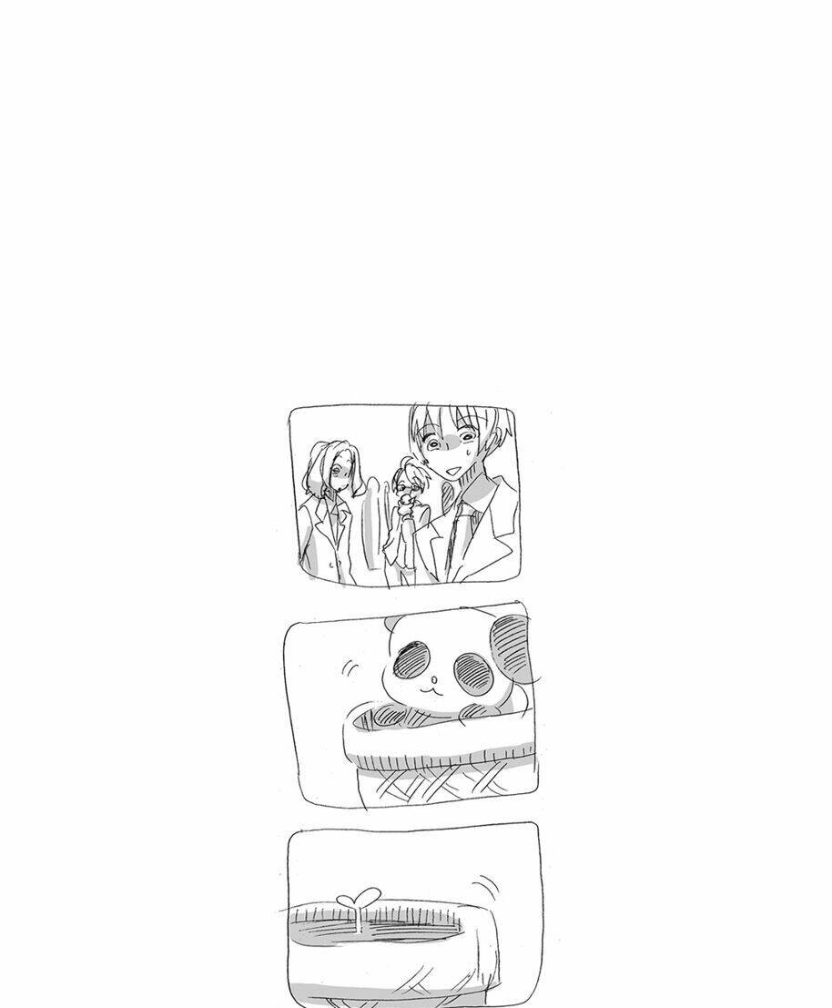 page_11.jpg