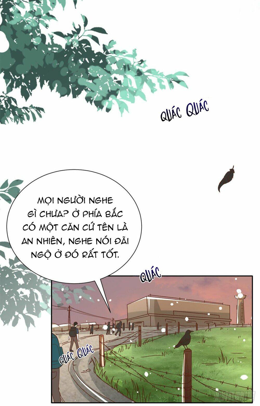 page_31.jpg