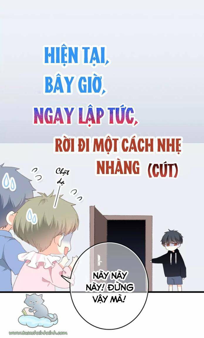 page_13.jpg