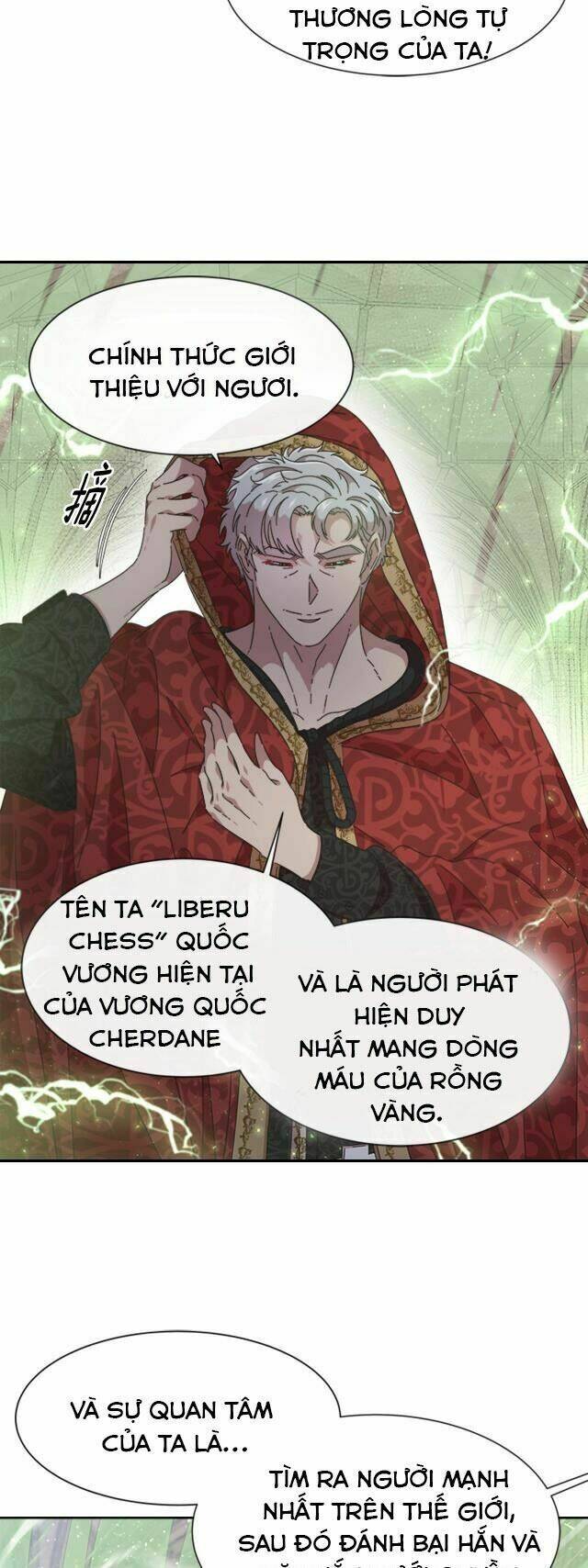 page_19.jpg