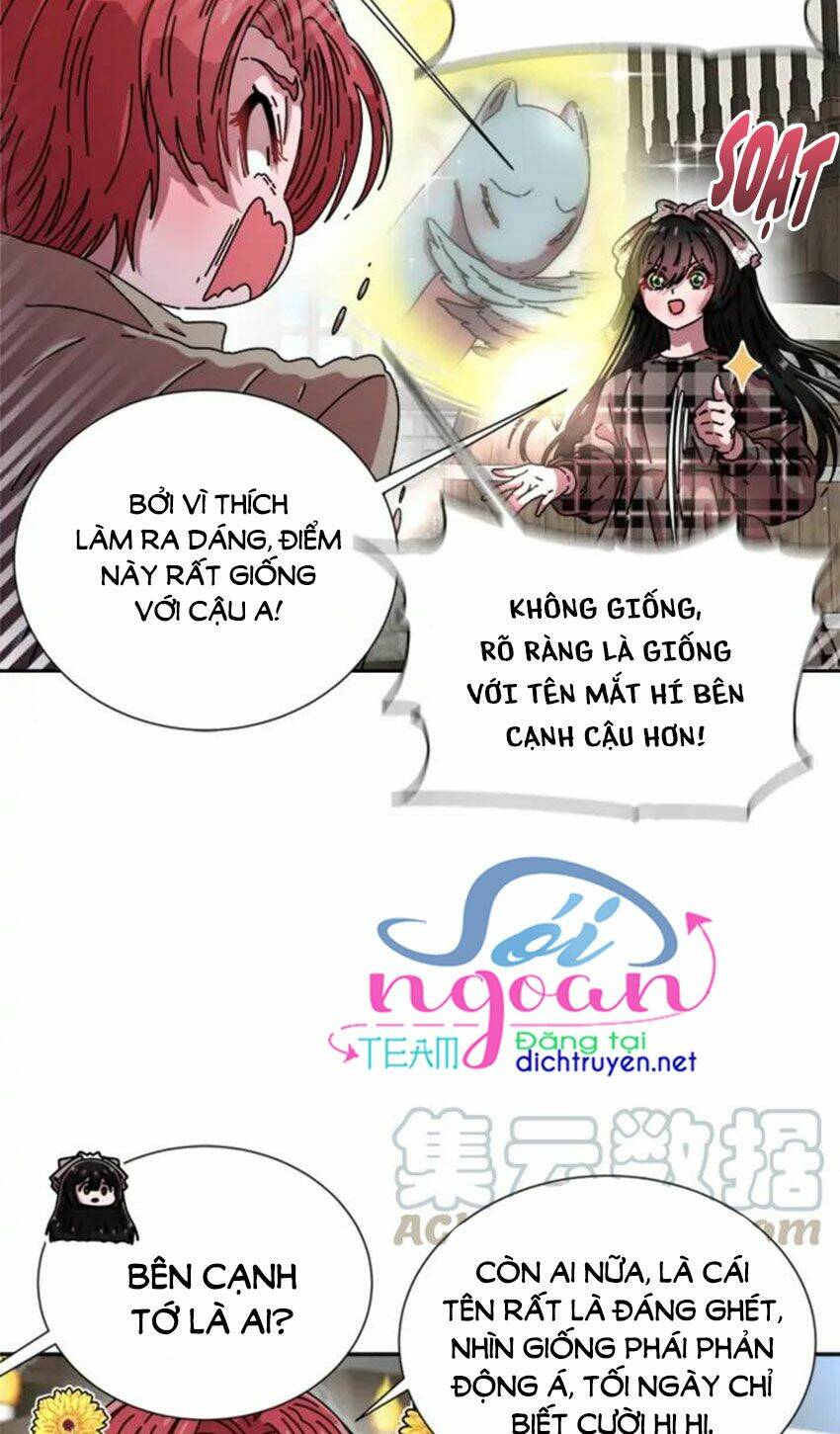 page_19.jpg