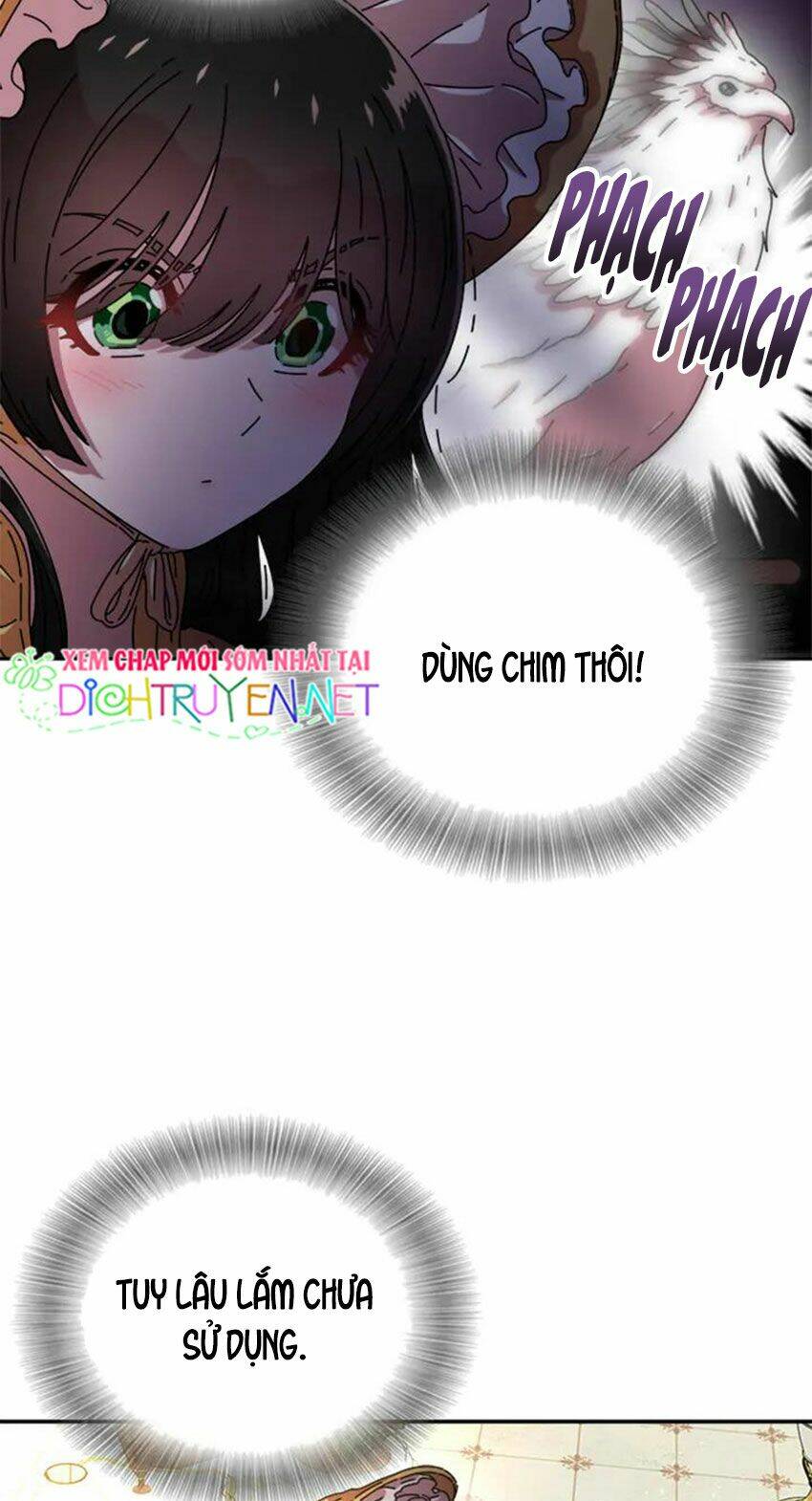 page_16.jpg