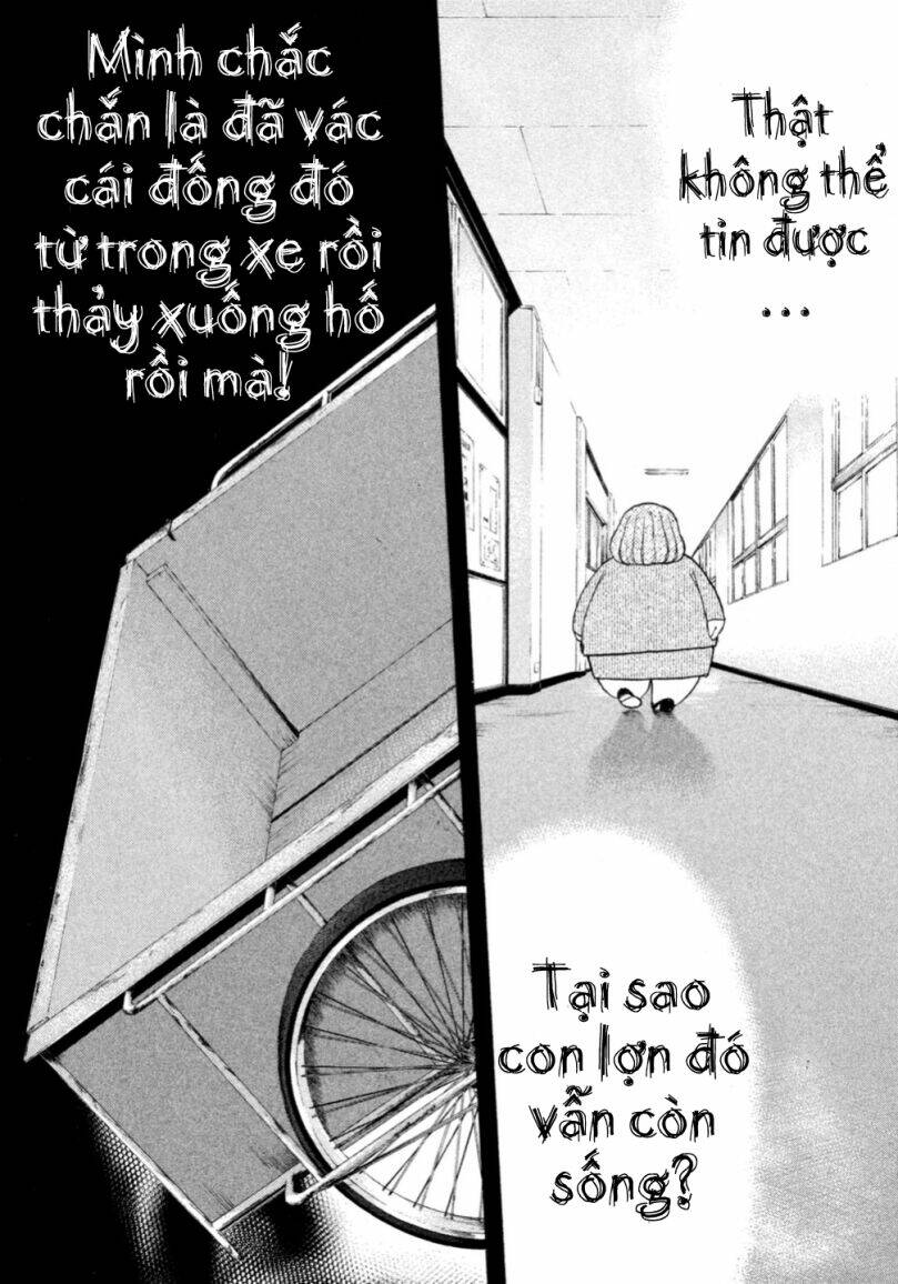 page_21.jpg